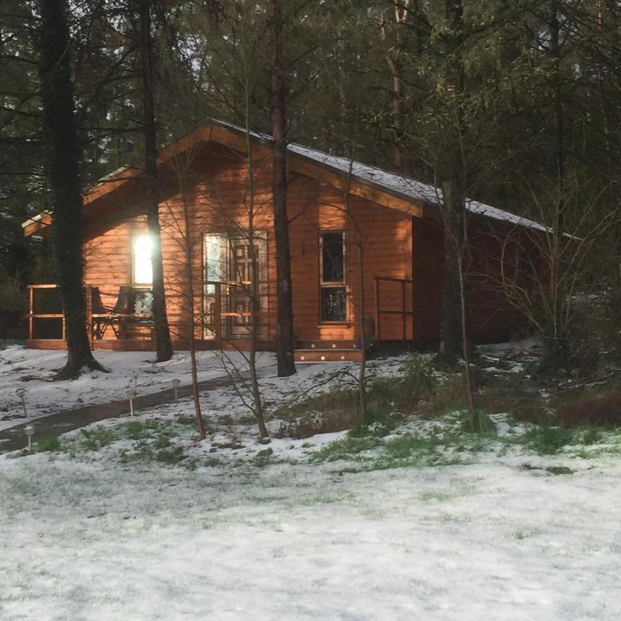 Butterfly Cabin Limerick Junction Exterior foto